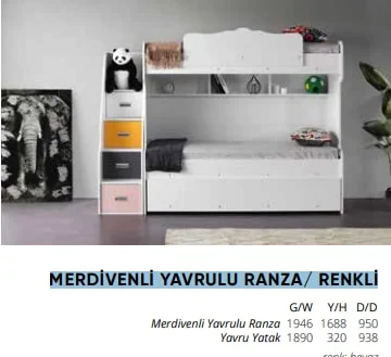 MERDİVENLİ YAVRULU RANZA/ RENKLİ