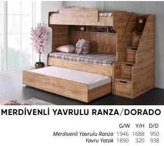 MERDİVENLİ YAVRULU RANZA/DORADO