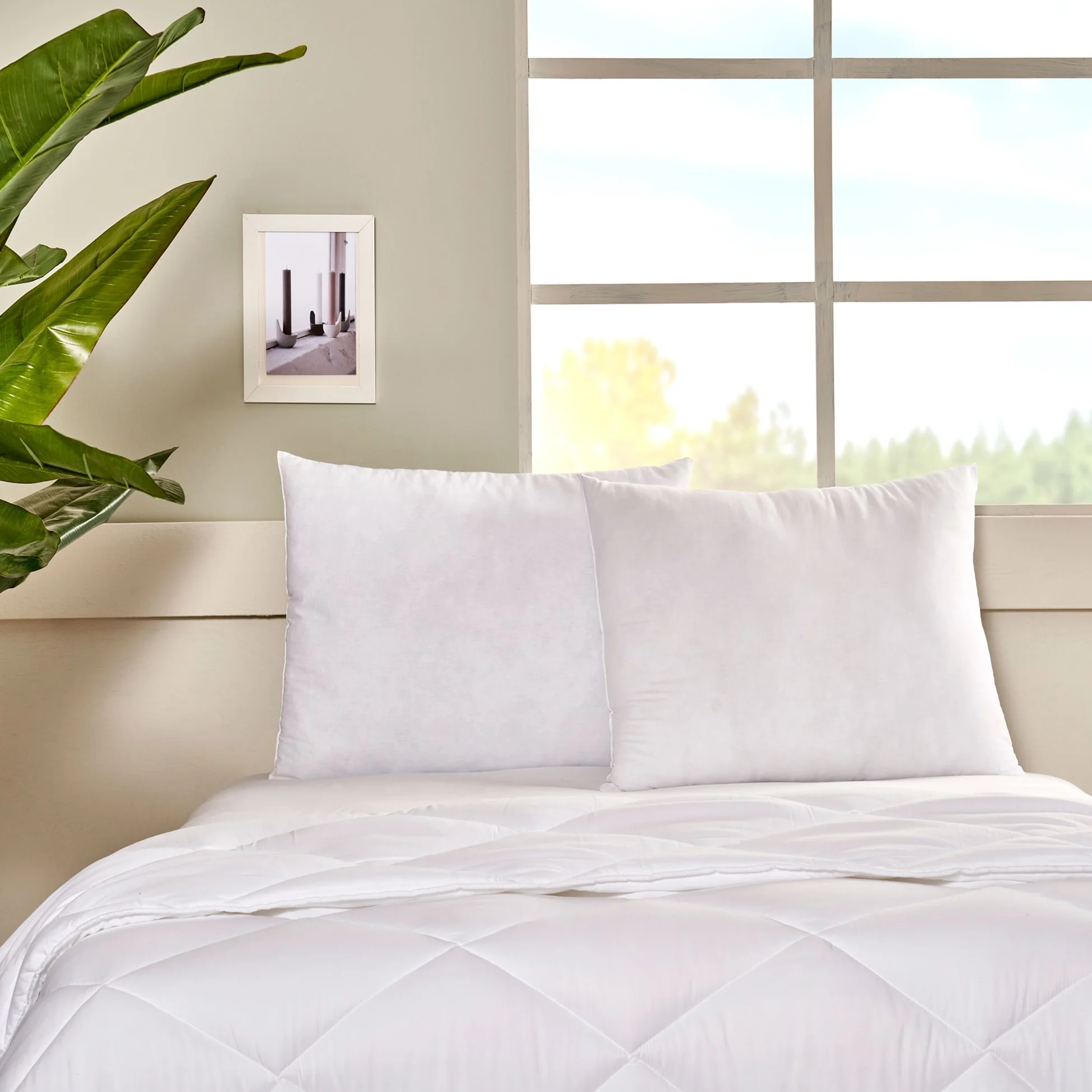 TAÇ COMFORT YASTIK 50*70